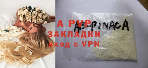 стаф Дмитров