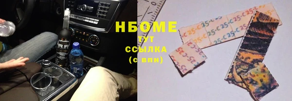 стаф Дмитров
