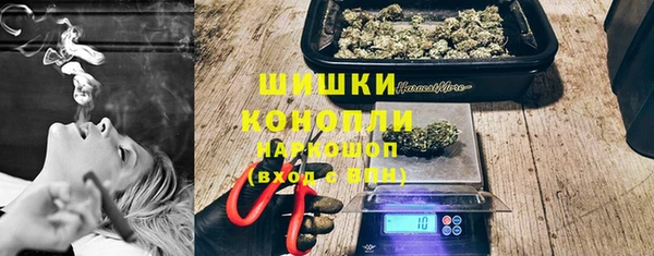 стаф Дмитров