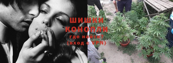 стаф Дмитров