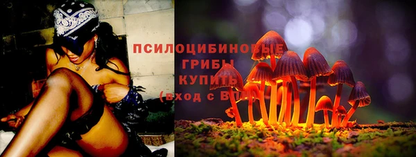 ALPHA-PVP Дмитриев